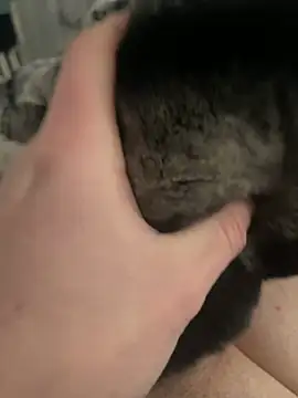 Furdale online show from 02/24/25, 01:21