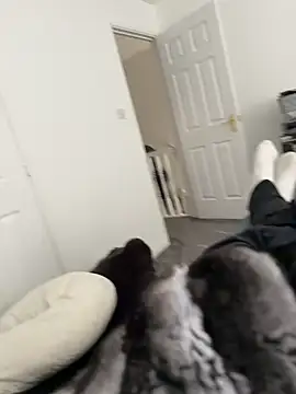 Furdale online show from 03/18/26, 02:19