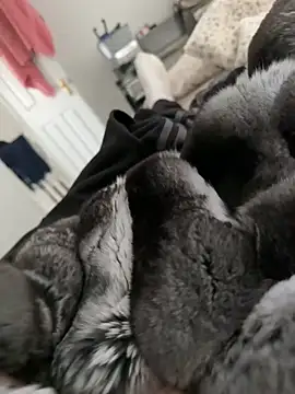 Furdale online show from 02/28/26, 02:06