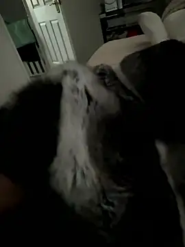 Furdale online show from 01/15/26, 03:48