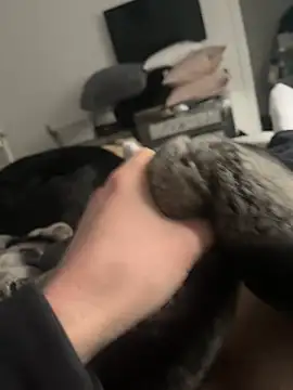 Furdale online show from 02/16/25, 02:32