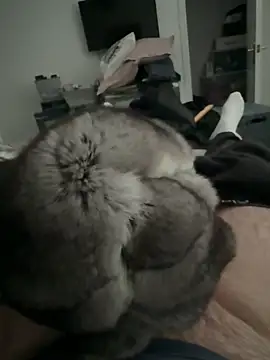 Furdale online show from 12/02/25, 02:52