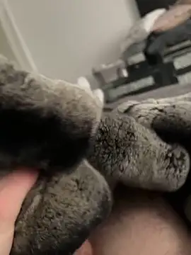 Furdale online show from 02/10/25, 01:55