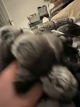 Furdale online show from 02/20/26, 06:10