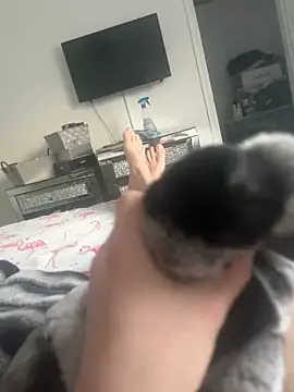 Furdale online show from 01/30/25, 03:19