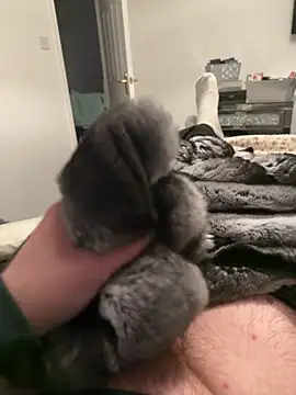 Furdale online show from 02/12/26, 07:13