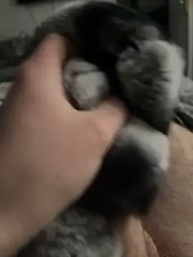 Furdale online show from 02/03/25, 03:06