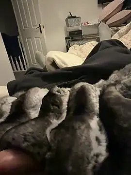 Furdale online show from 02/06/26, 06:48