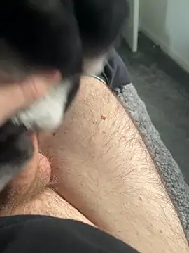 Furdale online show from 01/16/25, 02:08