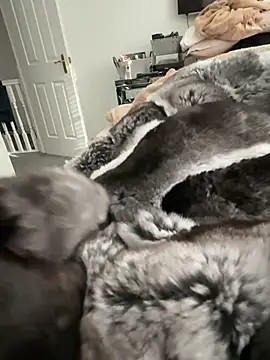 Furdale online show from 02/22/26, 03:13