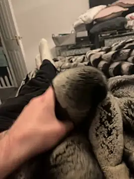 Furdale online show from 02/11/25, 06:11