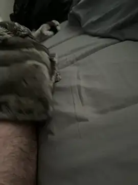 Furdale online show from 03/23/26, 02:39