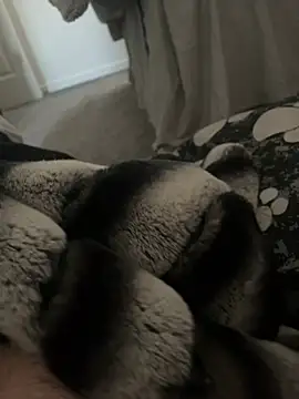 Furdale online show from 01/09/25, 11:14