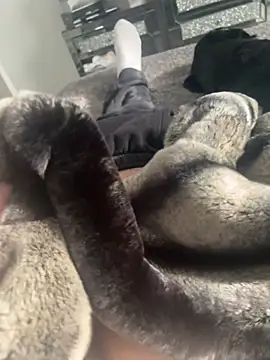 Furdale online show from 02/22/25, 01:24