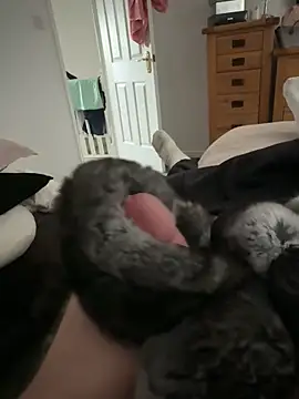 Furdale online show from 04/08/26, 11:12