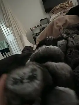 Furdale online show from 02/17/26, 04:15