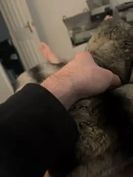 Furdale online show from 02/17/25, 03:11