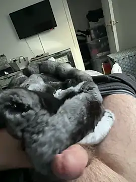 Furdale online show from 09/19/25, 05:17