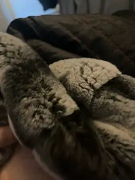 Furdale online show from 01/02/25, 12:35