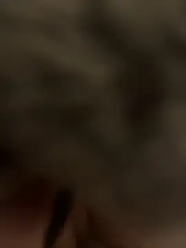 Furdale online show from 01/24/25, 06:04