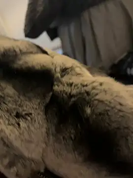 Furdale online show from 01/01/25, 12:44