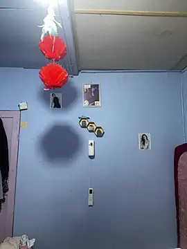 Sanieku online show from 03/24/26, 02:39