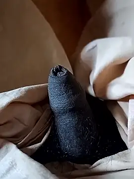 malluflash online show from 01/12/26, 08:54