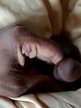 malluflash online show from 01/10/26, 09:04