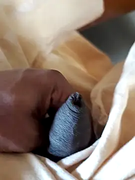 malluflash online show from 02/07/26, 06:54