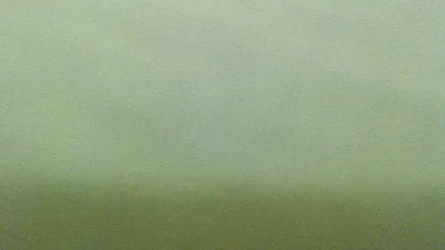 mmmPinUpGirl online show from 12/18/25, 03:55