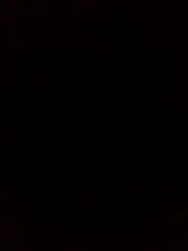 rodovlaz online show from 10/05/25, 01:24
