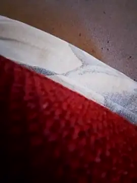 rodovlaz online show from 02/10/26, 11:20