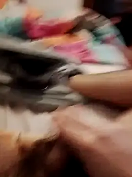 Snapshot of jon763 chatting on 02/19/26, 09:17 jon763 online show from 02/19/26, 09:17