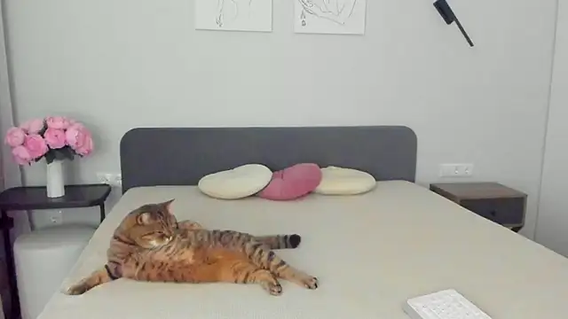 miss emily  online show from 04/10/26, 11:23