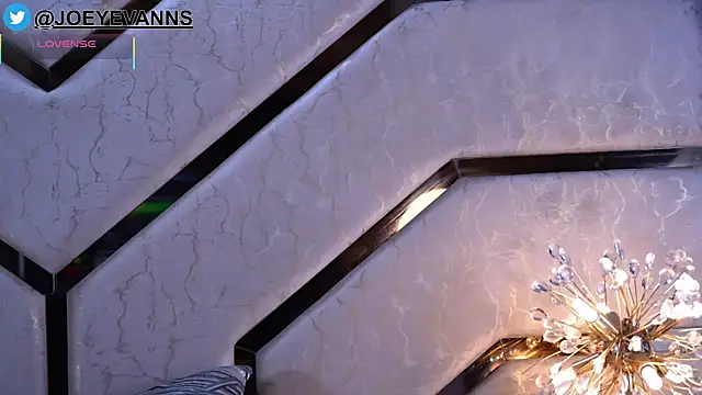 JOEYEVANS online show from 01/06/26, 03:10