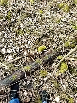 Boring one online show from 03/17/25, 01:50