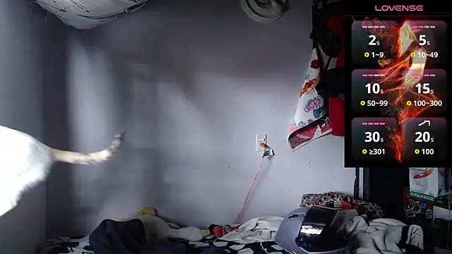 Apolo S online show from 03/21/26, 03:16