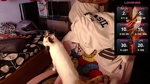 Apolo S online show from 02/17/26, 05:32