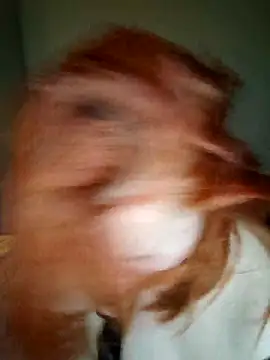 lollipop cat online show from 04/16/26, 09:39