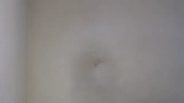 AlexNudo online show from 02/26/25, 12:05