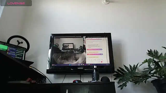 Snapshot of cat_salo chatting on 03/02/25, 01:53 cat salo online show from 03/02/25, 01:53
