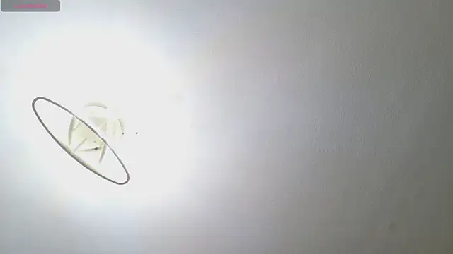 DianaWild online show from 07/09/26, 02:27
