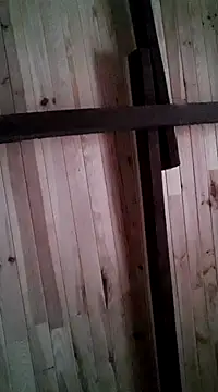 Snapshot of davigochi77bcn chatting on 03/06/25, 11:20 davigochi77bcn online show from 03/06/25, 11:20