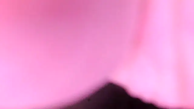 Snapshot of sr4343 chatting on 02/17/26, 10:18 sr4343 online show from 02/17/26, 10:18