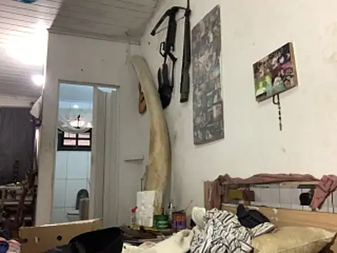 raphadoors19 online show from 11/23/25, 07:57