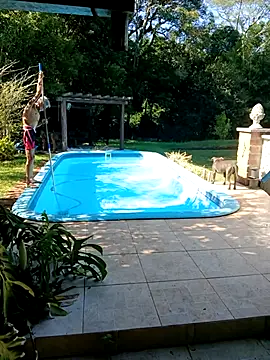 dutra498 online show from 02/03/26, 11:59