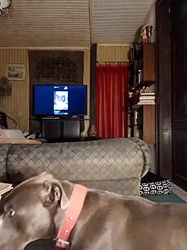 dutra498 online show from 03/25/26, 04:45