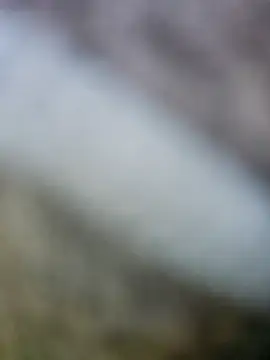 fuckineverett online show from 03/15/25, 03:48