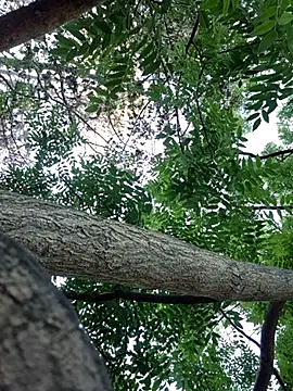 Keli Jessi online show from 09/14/25, 01:22