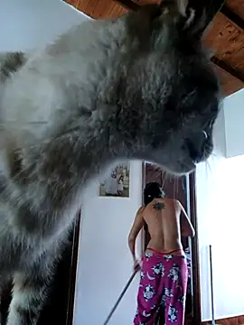 LunaZambrano online show from 12/14/25, 03:06